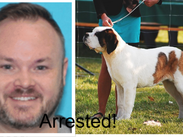 Veterinarian And Dog Show Judge Arrested For Child Porn