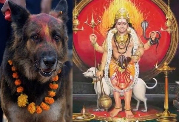 Why are Dogs Sacred in Hindu Mythology? Unraveling the Divine Bond between Canines and Deities