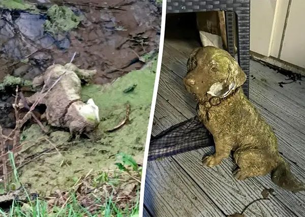 Rescuers Spot Puppy Tied To Pole — Then Discover The Heartbreaking Reason Why