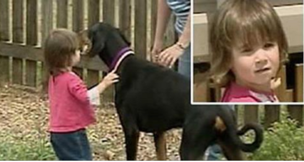 People Watch In Horror As Dog Grabs Girl In Jaws And Throws Her, Then They Realize What Happened. WOW!