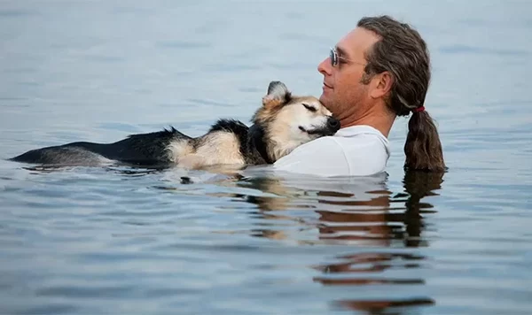 Every day, a man floats with his 19-year-old elderly dog. The reason behind this might surprise you.”