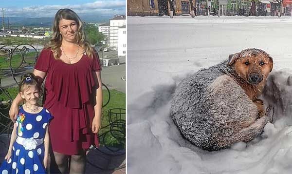 Homeless Dog Keeps Lost 10-Year-Old Girl Warm in Chilly Weather to Save Her Life