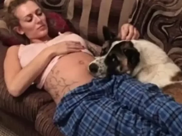 pregnant-woman’s-dog-wouldn’t-stop-barking-at-her-belly-then-she-realized-it-was-trying-to-warn-her