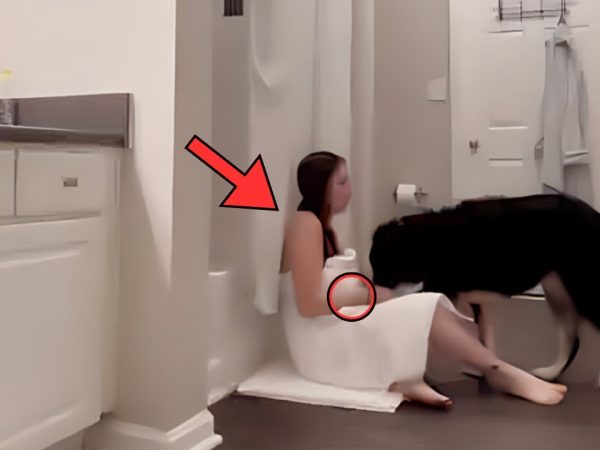 wife-keeps-locking-herself-in-bathroom-with-dog-until-husband-notices-mark-on-leg