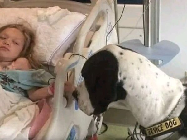 how-a-service-dog-gave-an-11-year-old-girl-with-morquio-syndrome-the-gift-of-freedom-and-friendship