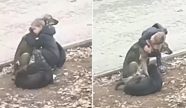 a-stranger-spots-a-young-boy-giving-hugs-to-stray-dogs-on-his-school-walk