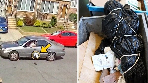 mom-catches-driver-throwing-bag-out-of-car-window,-officers-find-dna-inside