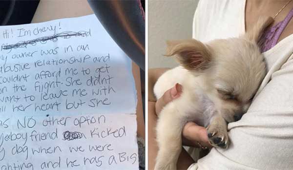 lonely-dog-found-at-airport-with-a-sad-note-from-the-person-who-left-them