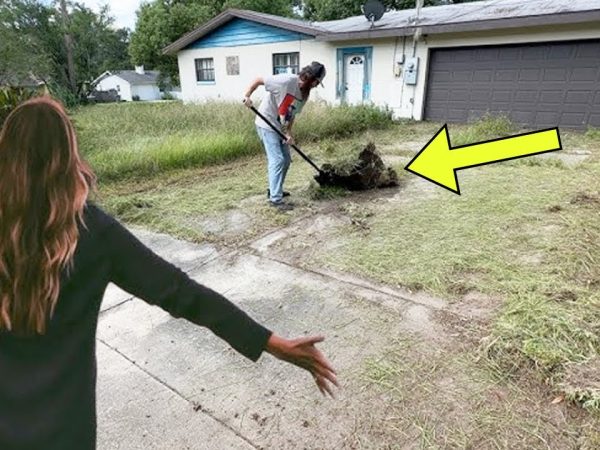 neighbour-cuts-through-woman’s-yard-daily-until-she-sets-a-trap