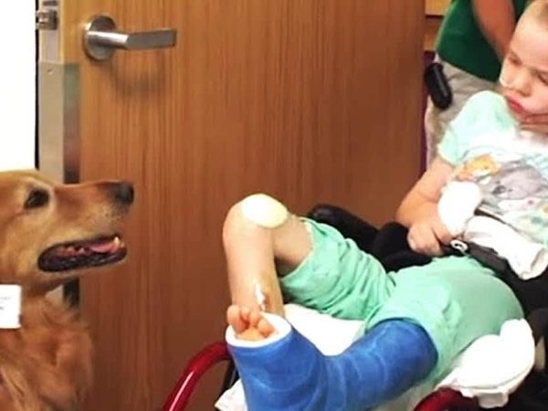 boy-suffering-from-brain-damage-doesn’t-regain-consciousness,-family-bids-farewell-as-his-dog-cuddles-him