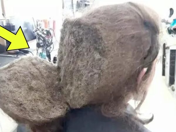 hairdresser-makes-shocking-discovery-after-girl-refuses-to-comb-her-hair