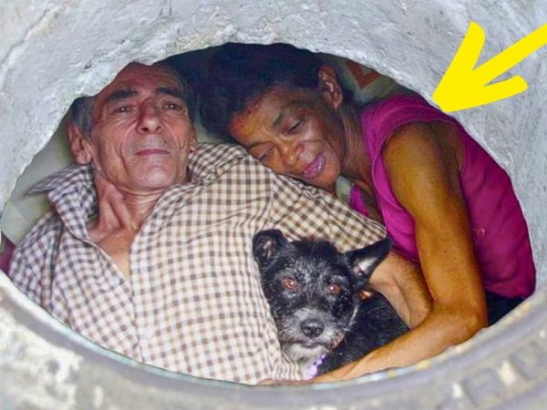 couple-that-has-lived-in-a-sewer-for-22-years-shows-what-it-looks-like-on-the-inside