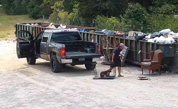 woman-leaves-her-dog-in-a-cage-next-to-the-dumpsters-forever