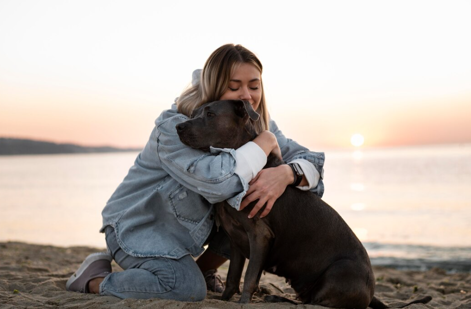 Honoring Pets Who Changed Our Lives: How Memory Keeps Love Alive