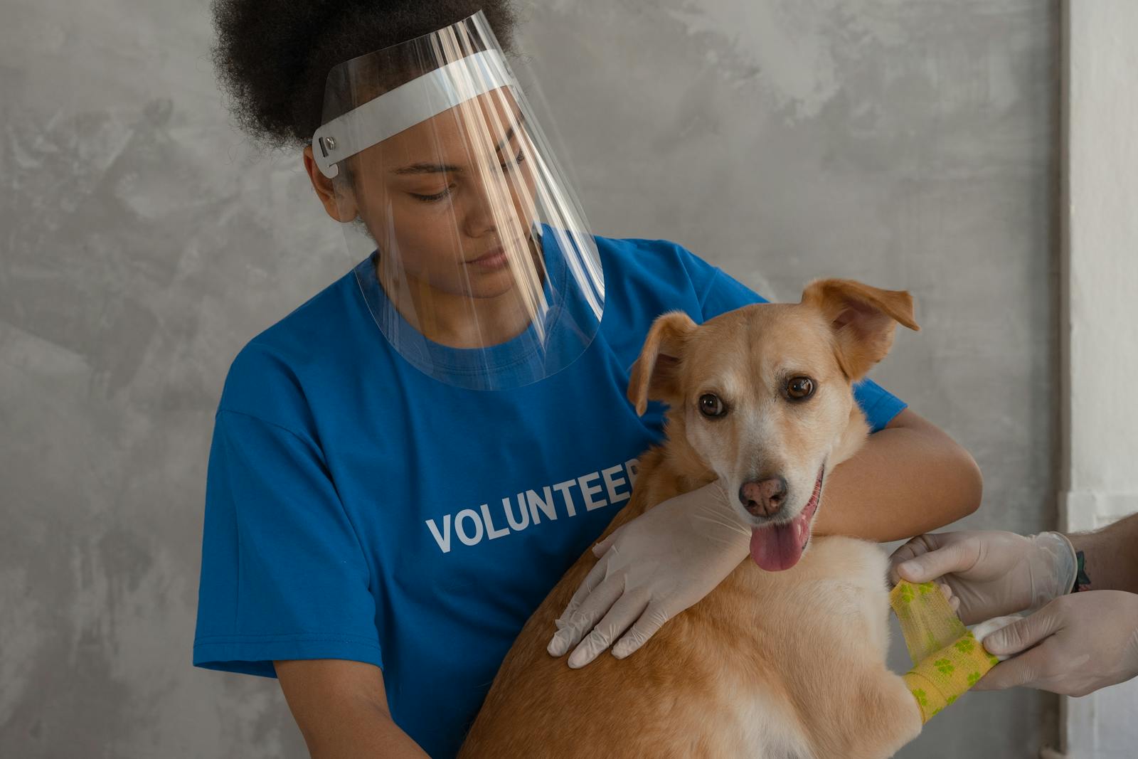 Every Adoption Is a Celebration: How Rescue Work Transforms Lives on Both Ends of the Leash